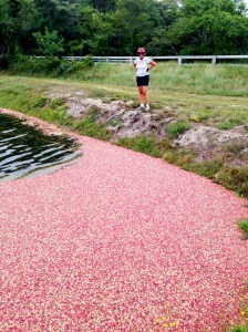 So tempting. I just want one.