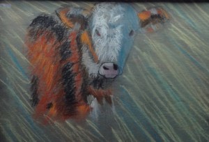 It looks like a fantastic cow to us!