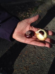 Chestnuts roasting on an open fire