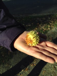 Is this something I could use for jam?