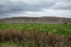 Still fairly farmable. Maybe it would be good to settle here?