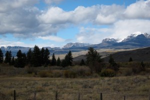 A first look...it gets better or worse for the settlers