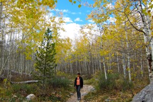 Michael has been searching for the perfect aspens.