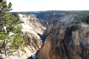 The yellow stone of the Grand Canyon of Yellowstone