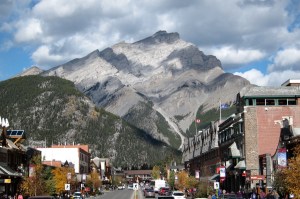 How would you like this in your backyard?