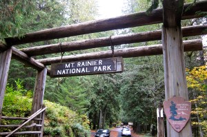 Like entering a lush rainforest