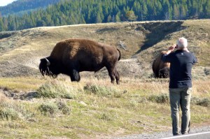 Probably more like 25 feet.