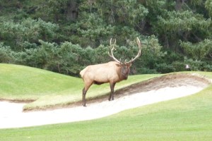 8 or 9 to get out of this trap?