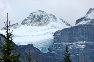 This is what we expected for glaciers!