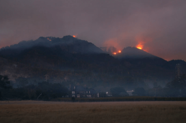 Screen Shot 2017-11-10 at 4.35.17 PM