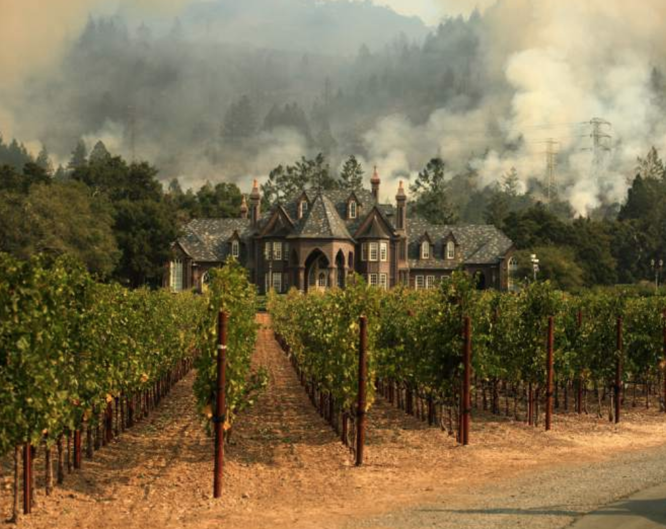 Screen Shot 2017-11-10 at 4.39.14 PM