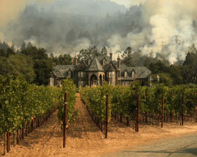 Screen Shot 2017-11-10 at 4.39.14 PM